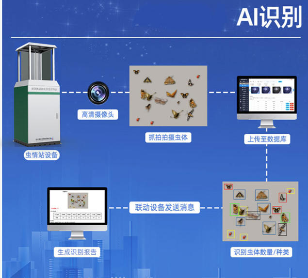 林業病蟲害監測